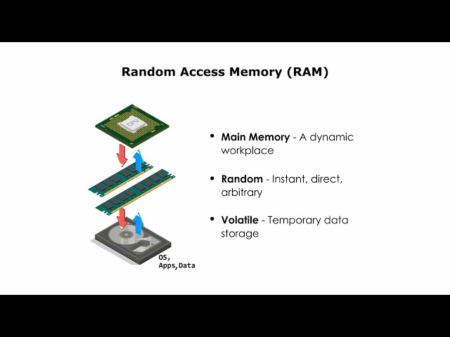 Random Access Memory(RAM)