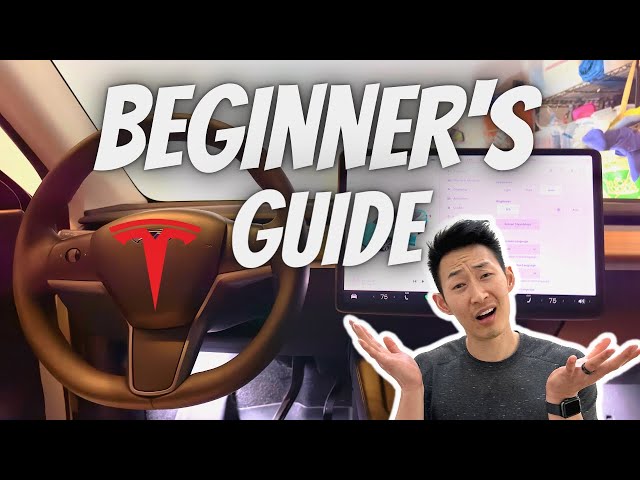BEST Settings to Change When you FIRST get your TESLA in 2024 (Beginners Guide)