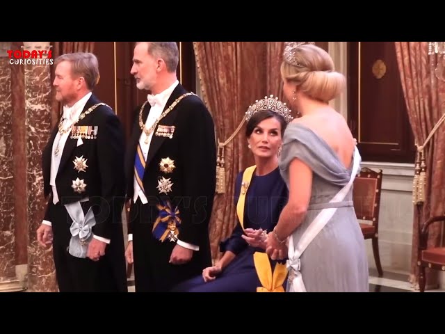 Queen Letizia forced to greet sitting down on visit to Netherlands