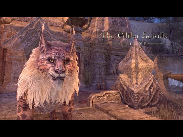 MEMORY SEEKER - The Elder Scrolls Online (Part 261: Gold Road Prologue)