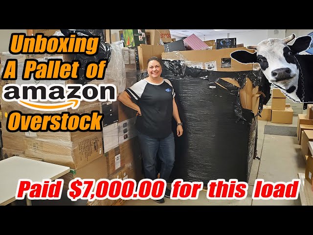 Unboxing A Pallet of Amazon Overstock that we paid Thousands of dollars for and we found cows!!!