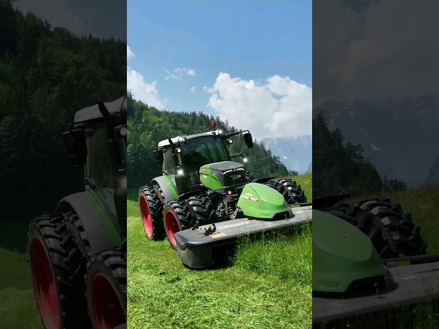 #fendt #feldtag #hay  #mauch & LAFO #fendt728 #heuernte #silage #harvesting #summer  #shorts #nature