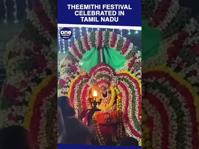 Theemithi festival aka 'firewalking' celebrated in Tharangambadi of Mayiladuthurai district #shorts