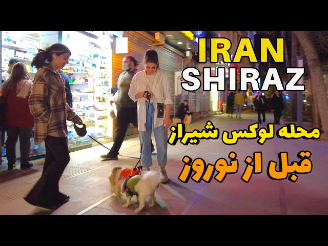 IRAN - Before Nowruz 1402 - Street Walking Tour North of Shiraz - Afif Abad Street عفیف آباد- شب عید