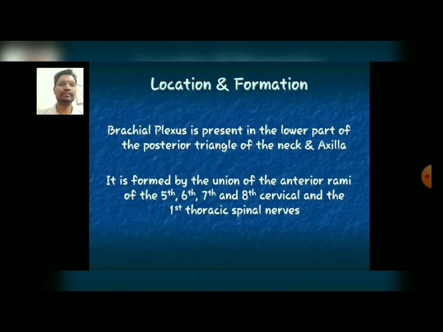 Axilla - Functions, Introduction & Location Part-1-By Dr. Robin Chopra (PT)/ Physio. Dept./ RPIIT