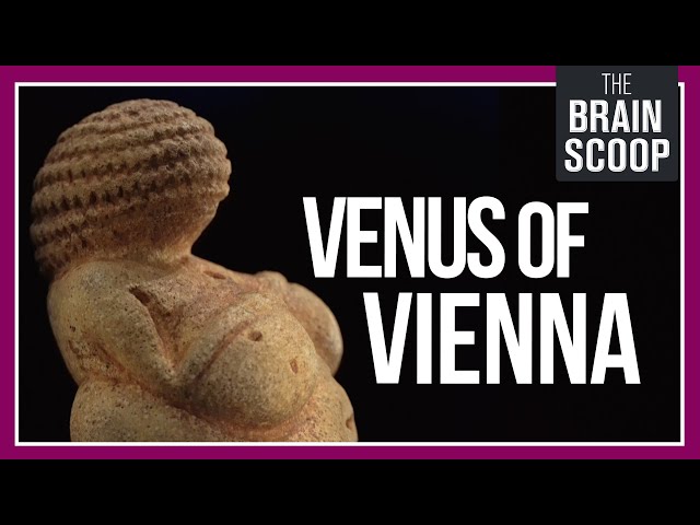 Meeting Vienna's 30,000 year-old woman || Museum Tour