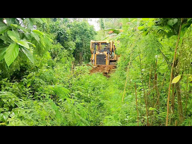 Professional Service D6R XL Bulldozer Makes Forest Roads Smoother