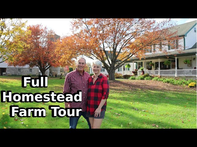 Journey Through Our 42-Acre Homestead | A Glimpse of Rural Living!"