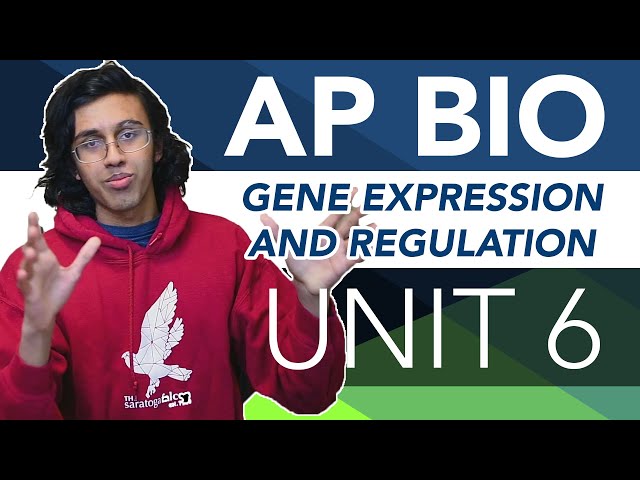 AP Biology Unit 6 Crash Course: Gene Expression and Regulation