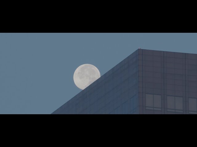 Max Richter's SLEEP - Film (Teaser)