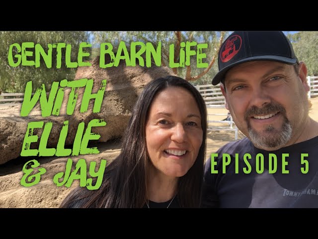 Gentle Barn Life with Ellie & Jay Episode #5