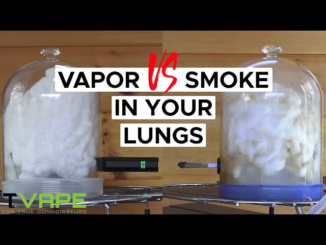 Vaping vs Smoking In Your Lungs - Shocking !