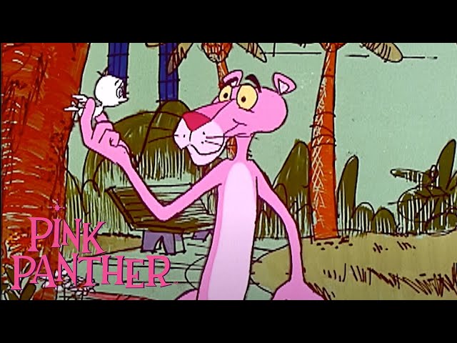 Pink Panther And The Little Bird | 35-Minute Compilation | Pink Panther Show