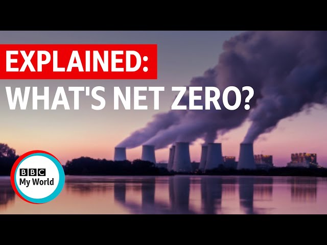 Net Zero: What is it and can we reach it? - BBC My World #shorts