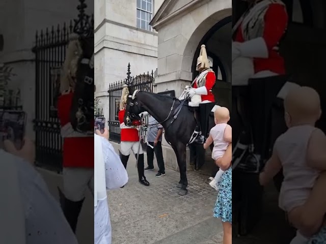 Checking the Horse Guard if he's OK?