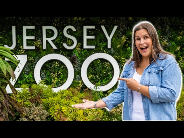 Is JERSEY ZOO the BEST attraction in Jersey?