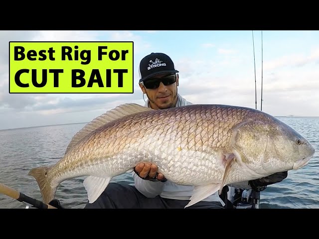 Best Way To Rig Cut Bait (Cross Between Fish Finder Rig & Knocker Rig)