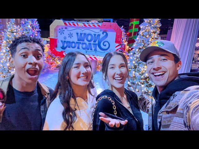 Christmas Surprise GONE WRONG! *we got frostbite*  // Vlogmas Day 7 🧸🎁✨