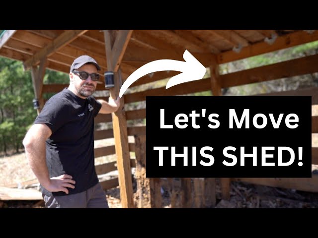 Let's Build the ULTIMATE WoodShed! (pt1)