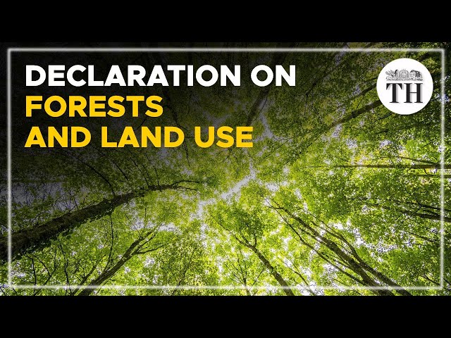 Declaration on Forests and Land Use: why India did not sign