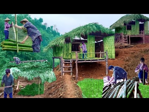 Full video _ build a small house to prepare for a new life | Live with nature