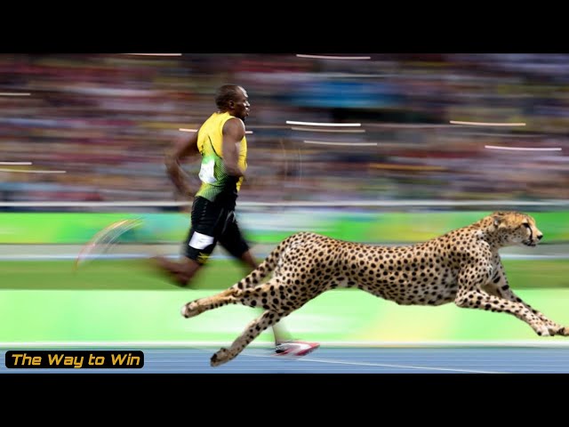 Usain Bolt vs Cheetah  | Similarity in Running Mechanics
