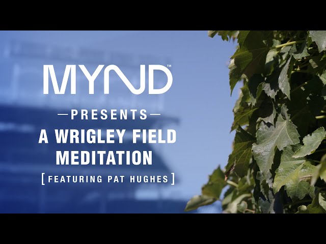 A Wrigley Field Guided Meditation Narrated by Cubs Radio Play-By-Play Announcer Pat Hughes