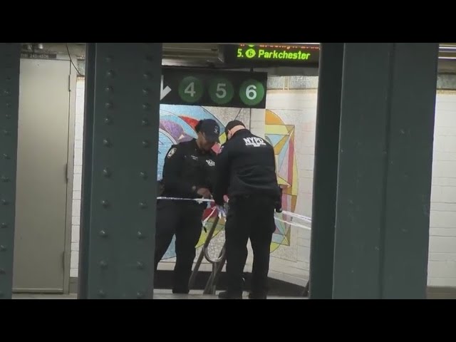 Man fatally pushed onto subway tracks in East Harlem: NYPD