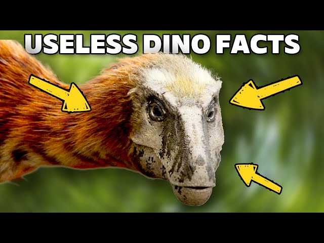 A Solid 10 Minutes of Dinosaur Facts (with Chris & Jack)