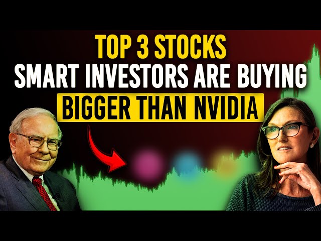 Waiting For 2024 AI Rally?? Top 3 Stocks Billionaire Are Buying For The Upcoming AI Wave