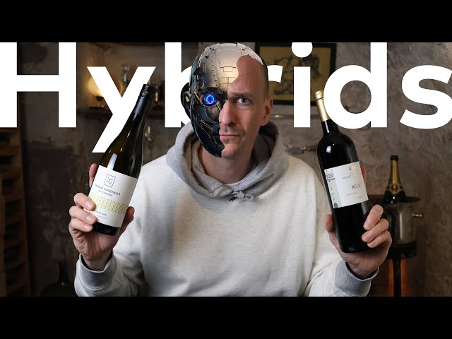 The FUTURE of WINE? Diving into Hybrid Wines.