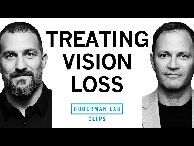 Cause of Vision Loss & Treating Vision Loss | Dr. Jeff Goldberg & Dr. Andrew Huberman