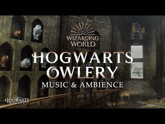 Harry Potter | Hogwarts Owlery Music & Ambience, Peaceful and Relaxing Scenes with Day/Night Cycle 🦉