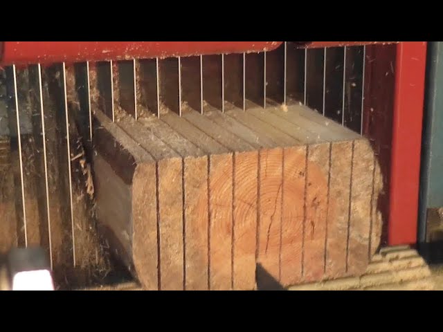 Amazing Modern Automatic Wood Cutting Sawmill Machines - Incredible Modern Woodworking Factory