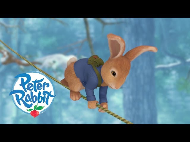 Peter Rabbit - Saving Cottontail | Cartoons for Kids