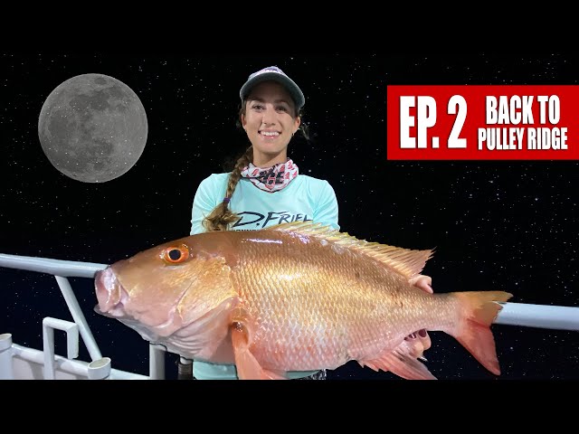 MOONLIGHT MUTTON MADNESS! Night time snapper fishing at Pulley Ridge