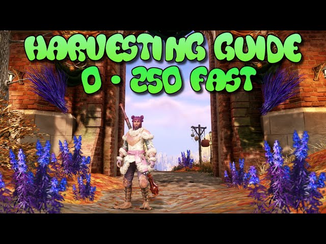 New World Harvesting Guide 2023 0 to 250 FAST