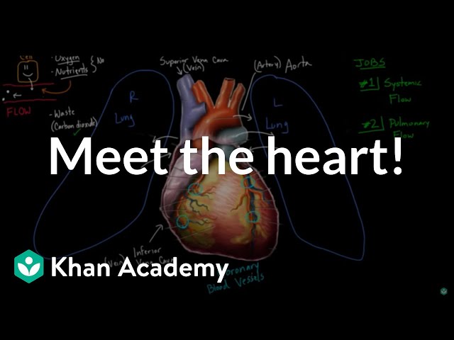 Meet the heart! | Circulatory system physiology | NCLEX-RN | Khan Academy
