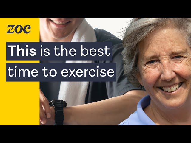 The best exercise routine, according to your muscle clocks | Professor Karyn Esser