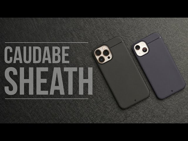 iPhone 13 Pro Max/iPhone 13 Caudabe Sheath Case Review! Minimalist Perfection!