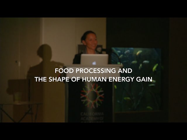 Food Processing and the Shape of Human Energy Gain | Rachel Carmody