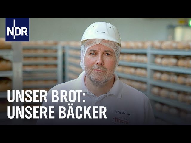 Handwerksbäcker, Familienbetrieb und Brotfabrik: Sie backen dein Brot | Unser Brot | NDR Doku