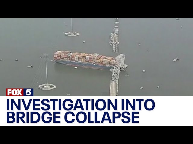 Investigation into Baltimore bridge collapse