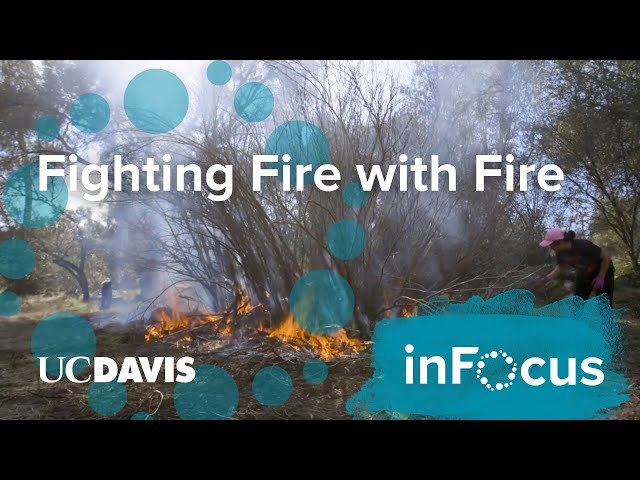 Fighting Fire With Fire: The Practice of Cultural Burning in Native American Communities