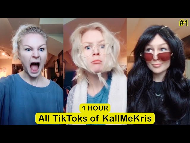 1 HOUR All of Kallmekris Funny TikToks - Kallmekris TikTok Compilation Part 1