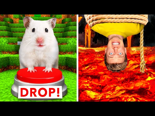 Hamster Maze vs Human Traps 🐹 World’s Most Extreme Elimination Game! Last To Survive Minecraft Wins