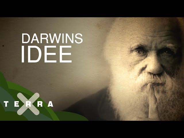 Evolutionstheorie - Charles Darwins Revolution​ | Terra X statt Schule