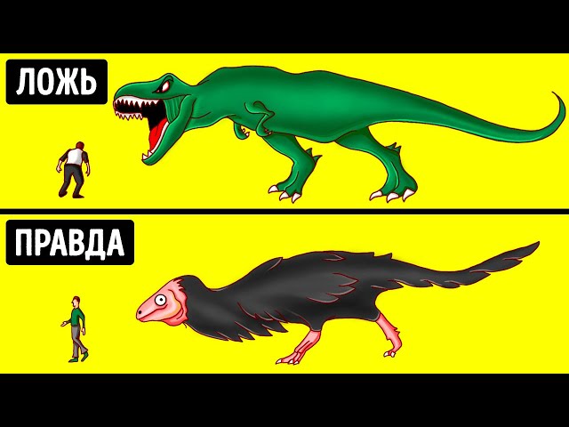 Динозавры выглядели совсем не так, как показано в кино, и другие 30 мифов, в которые мы верим
