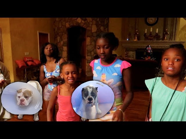 GHOST IN THE HOUSE PRANK!!!