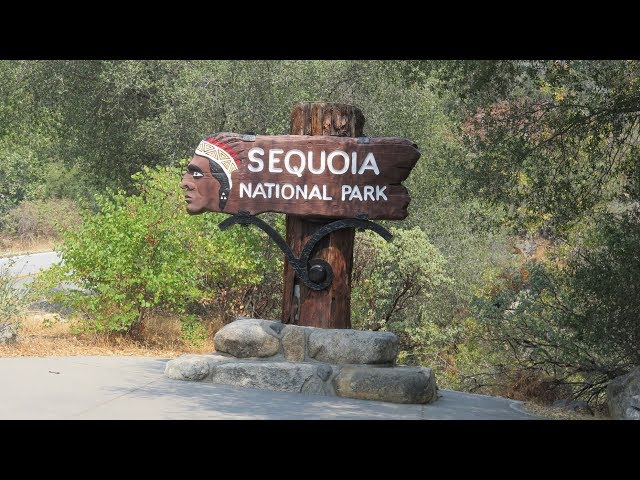 Sequoia & Kings Canyon (USA) Nationalpark 2017